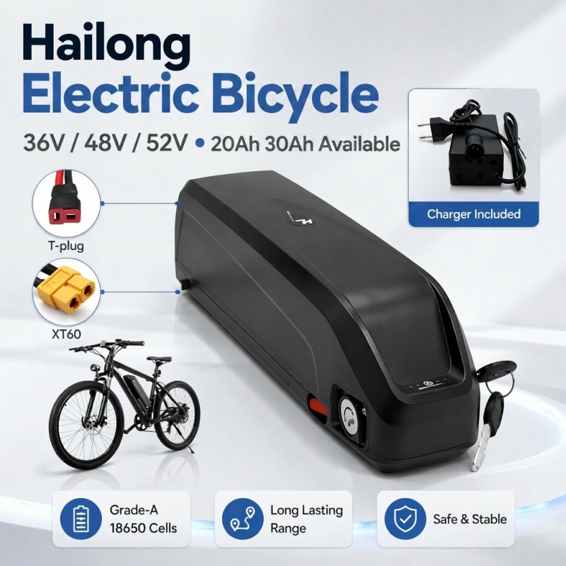 Multi-Size Ebike Battery Hailo - Ebike Battery 48V 20Ah Hailong review and price